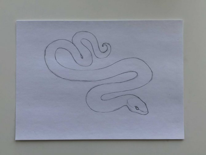 Cum de a desena un șarpe cu un creion într-un desen pas cu pas - șarpe simplu - a doua etapă - fotografie