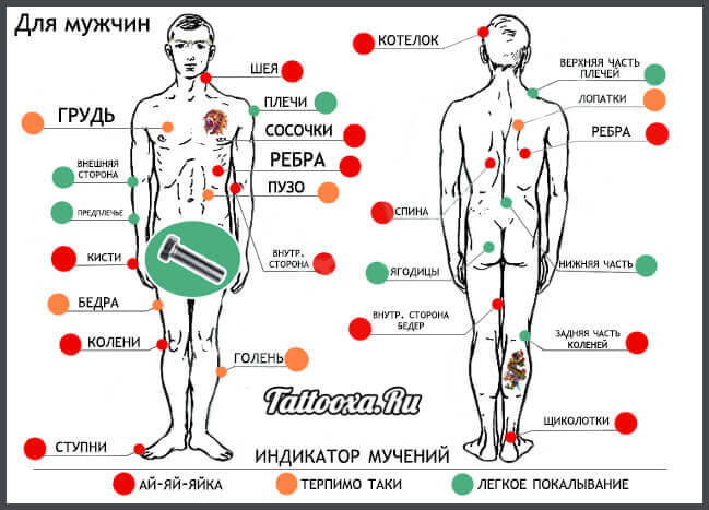 Tattoo pain map for the male body