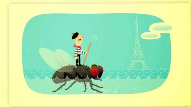 picture of a Frenchman on a fly