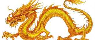 Chinese dragons - symbols of China