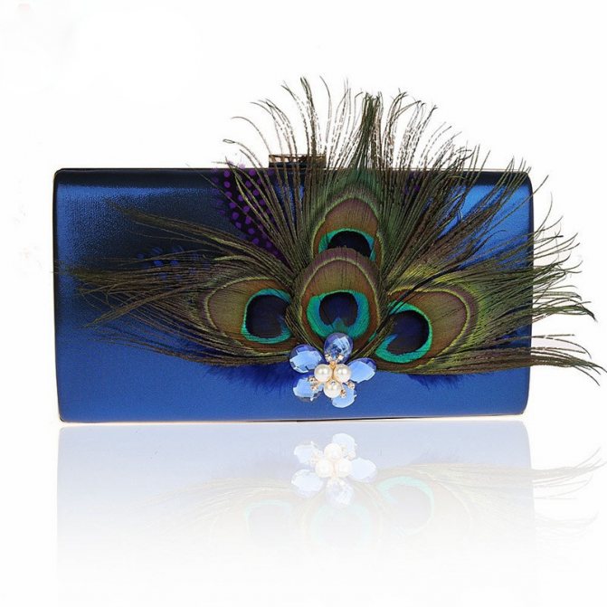 Clutch with Feathers