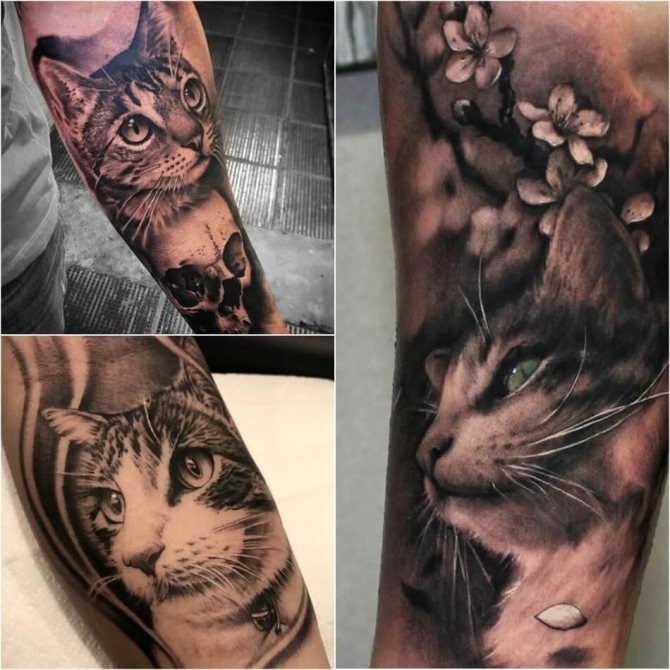 tatuaggio gatto realismo,3