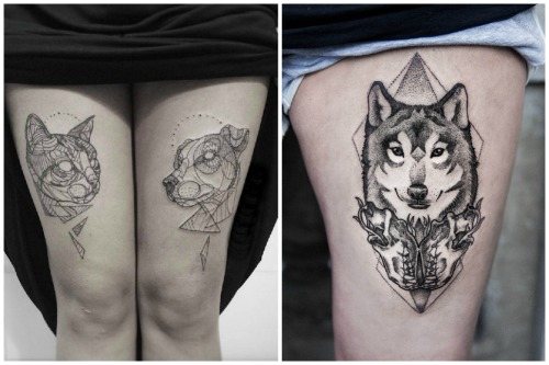 cat and dog and wolf