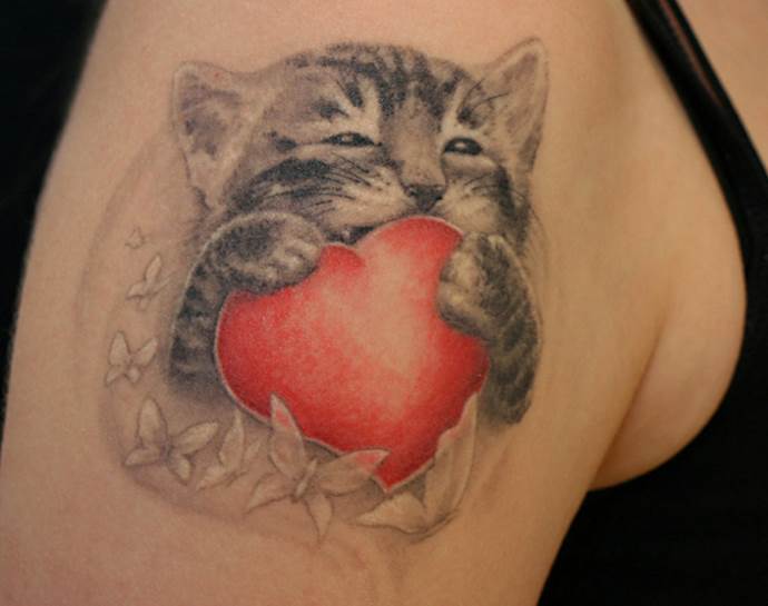 kitten and a heart