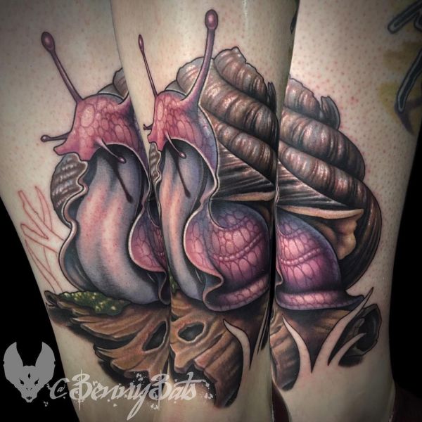 A beautiful big snail in the form of a tattoo