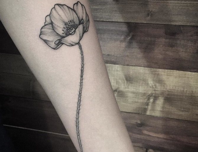 Beautiful tattoo for a girl