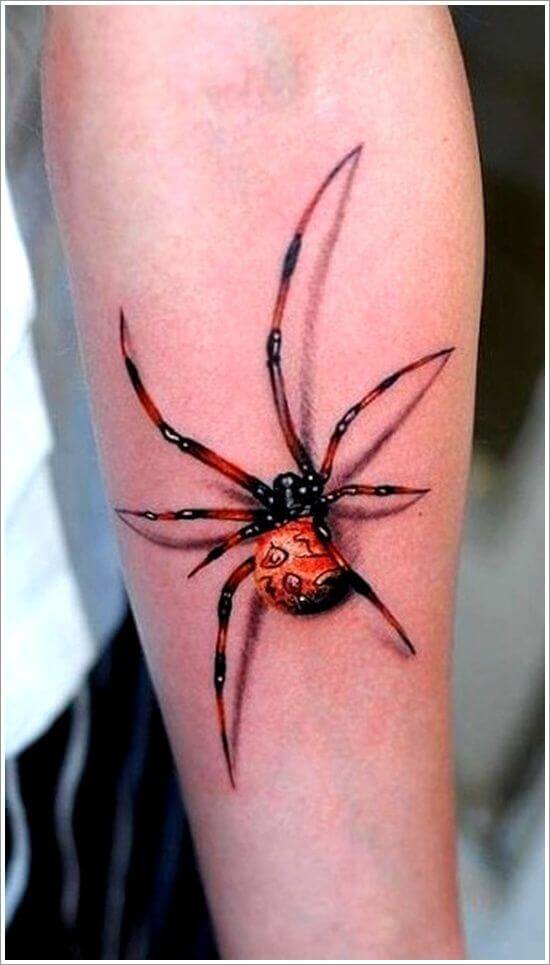 Red-black spider