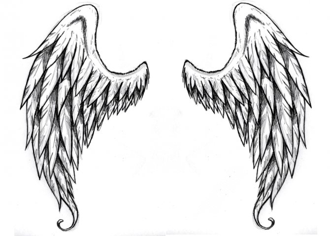 Angel wings - ekiz