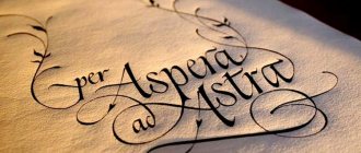 Latin phrases about love