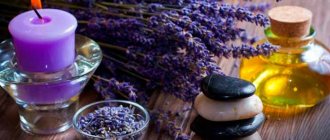 lavender flower meaning