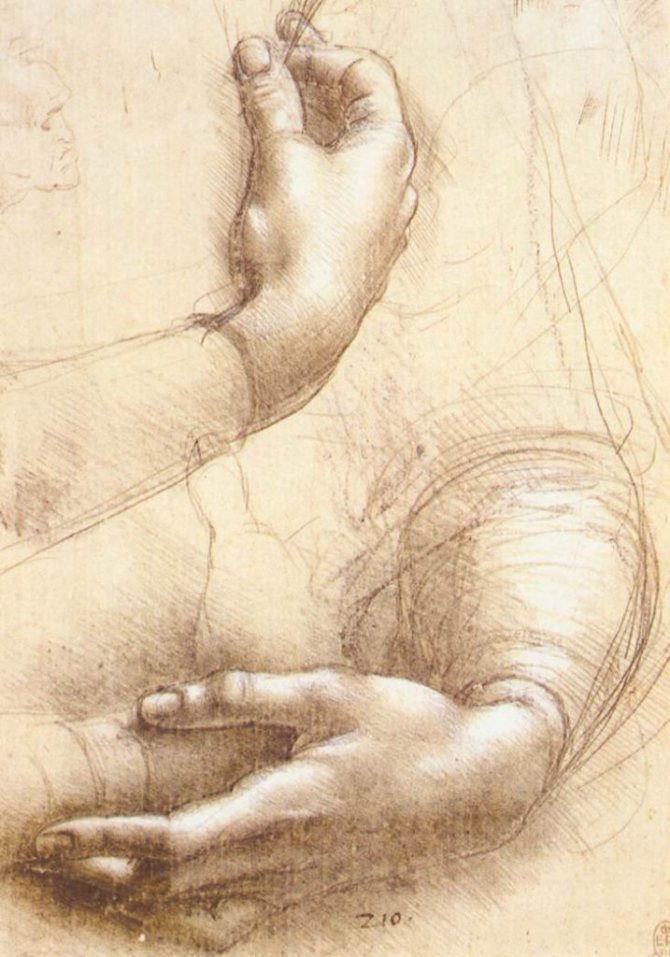 Sketch of Hands by Leonardo da Vinci