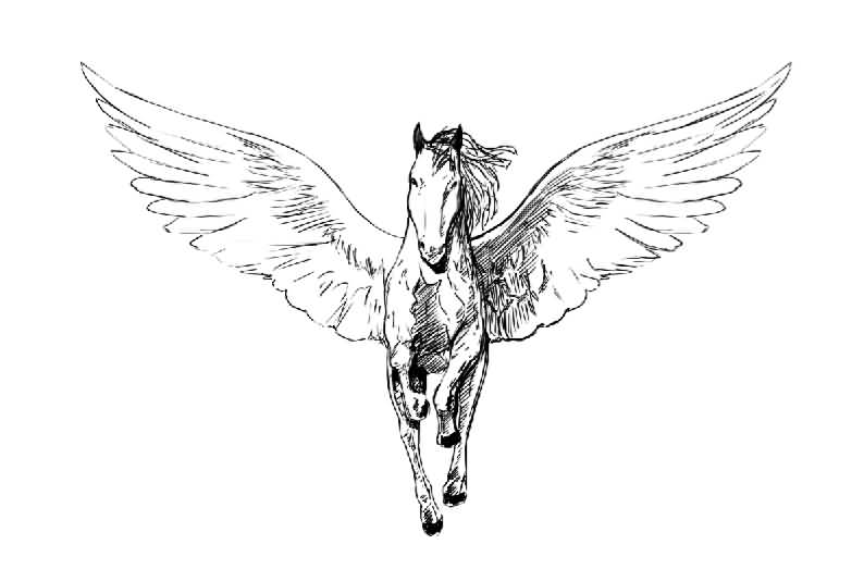 Flying Pegasus