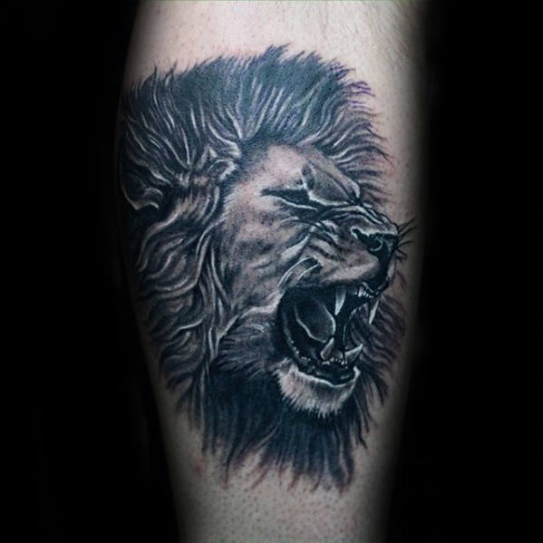 lion on the calf