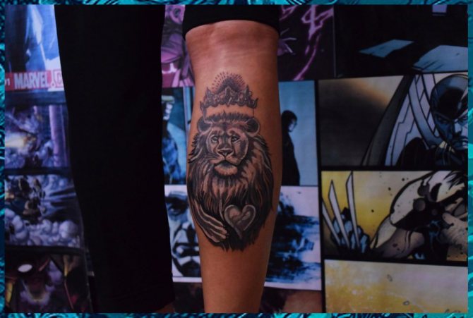 lion tattoo on the calf sketch