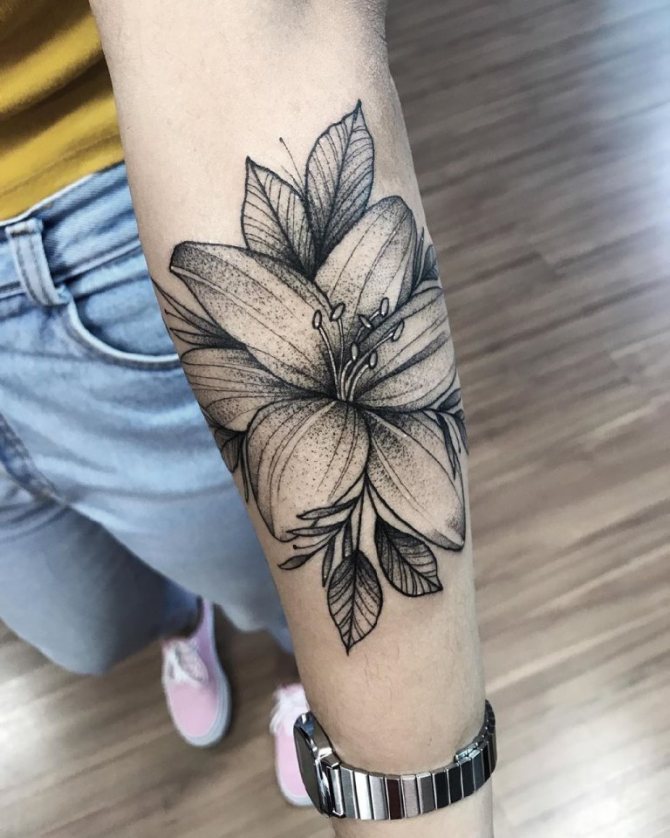 lily tattoo sketch