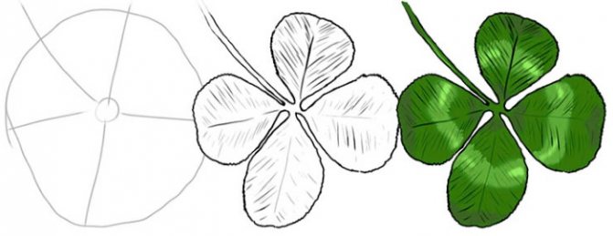 Four-leaf clover leaf, four-leaf flower drawing in pencil, watercolor