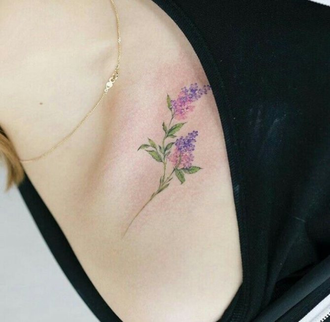 Small graceful lilac twig tattoo on collarbone