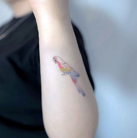 Small tattoo with a parrot on a girl's arm