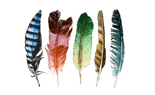 Mystical meaning of wings and feathers of birds