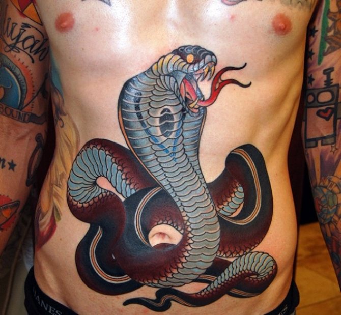Male cobra tattoo on stomach