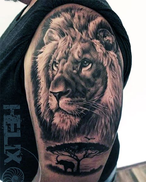 A male tattoo of a lion on his arm