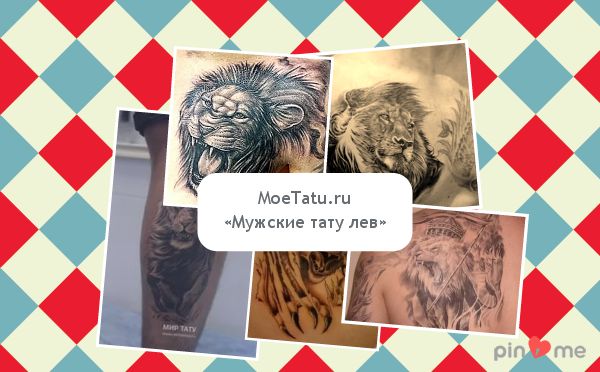 Male tattoo of a lion.