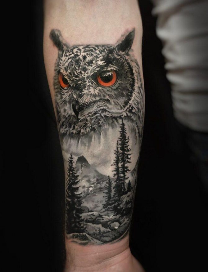 Male forearm tattoo of an owl