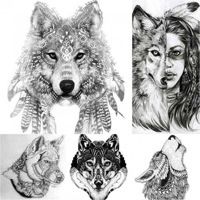 The most interesting designs for tattoo in the shape of a wolf