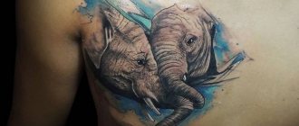Tattoo elephant