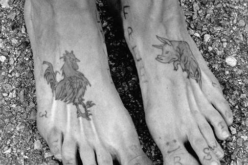 Sailor Feet. Images of rooster, pig
