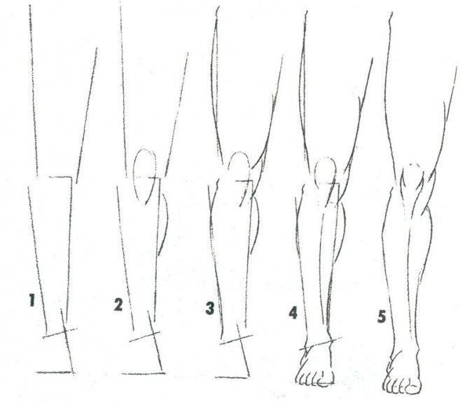 Women's legs with a pencil.