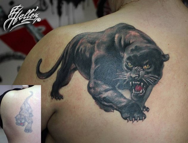 New Panther Tattoo