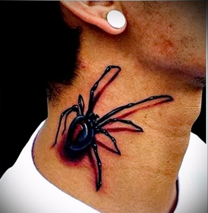 Volumetric tattoo in the form of a spider looks very interesting
