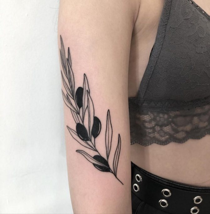 olive branch tattoo meaning