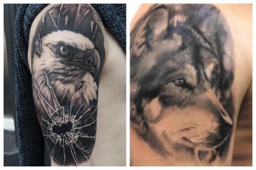 Eagle and wolf black and grey