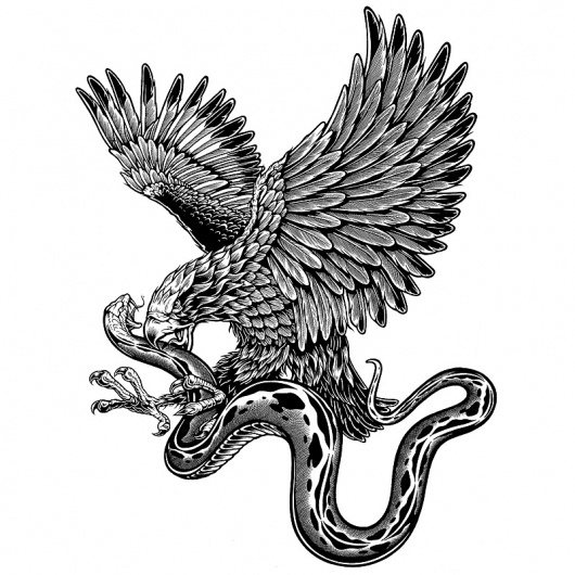 eagle with a snake