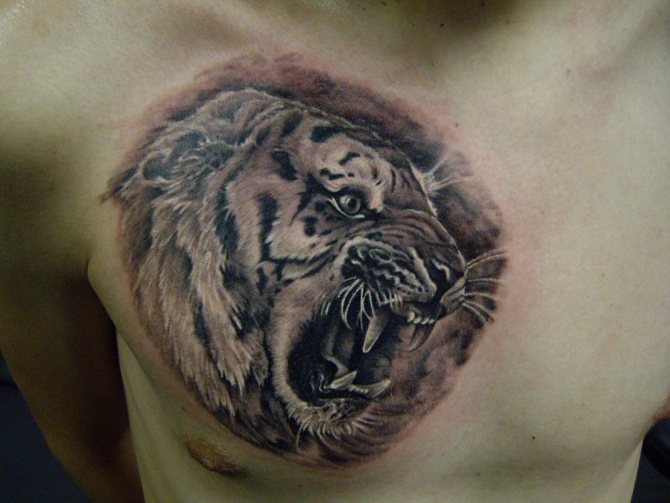 tiger grin tattoo
