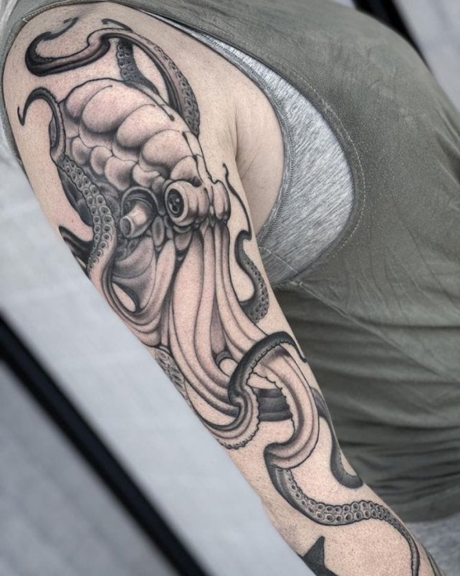 octopus tattoo sketch