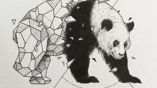 panda sketch