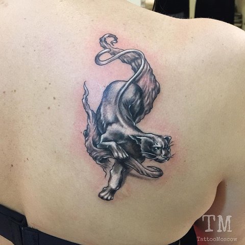 Panther on back of girl