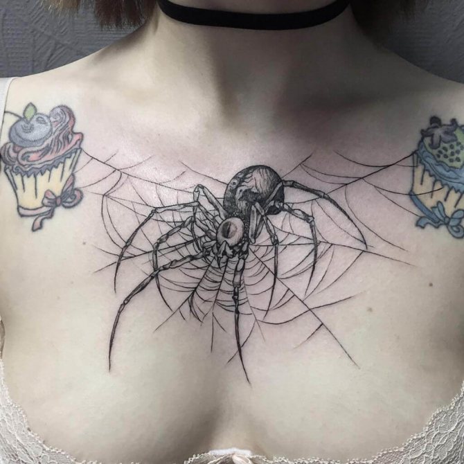 A spider on a woman's breast