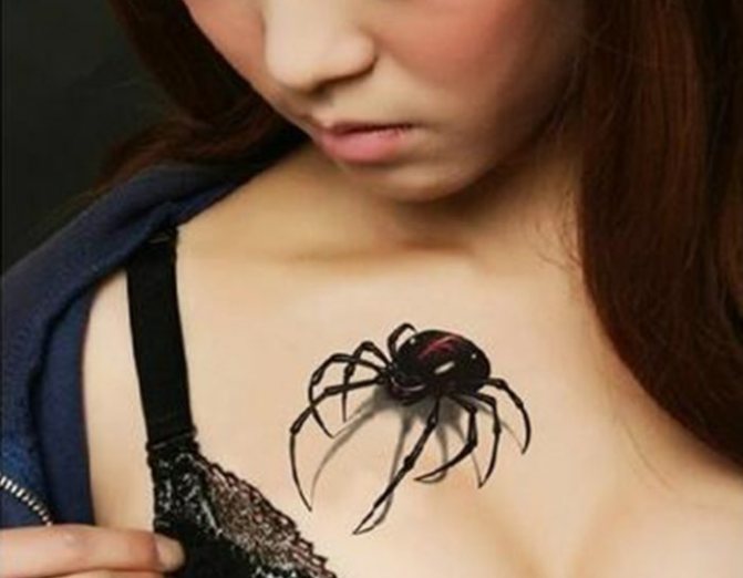 Spider on a woman's chest.