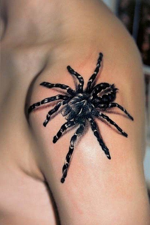Spider on a man's shoulder.