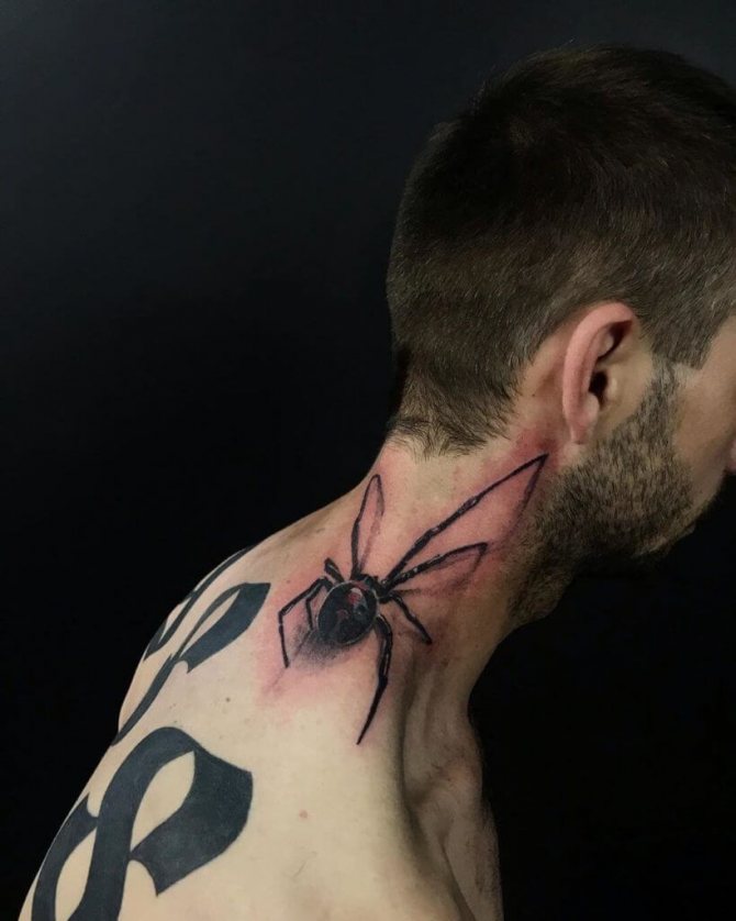 Spider on the neck