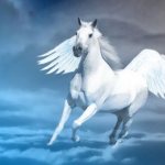 Pegasus - what kind of creature is this in ancient mythology?