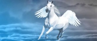 Pegasus - what is this creature in ancient mythology?
