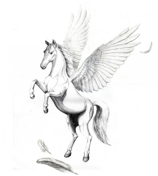 Pegasus and Big Feather