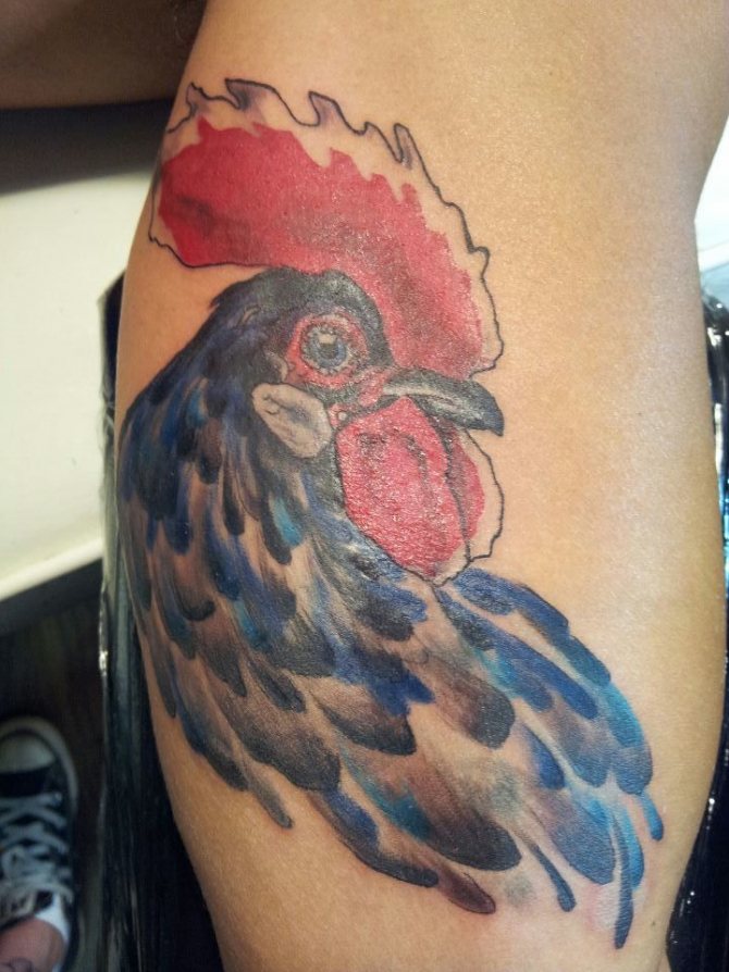 Cock tattoo in the zone is a bad sign