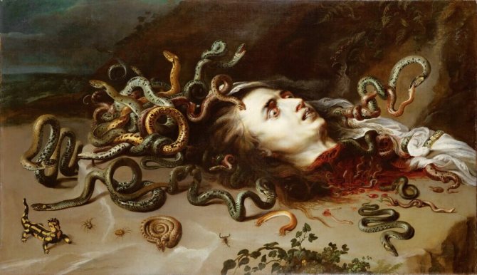Peter Paul Rubens - Head of the Medusa