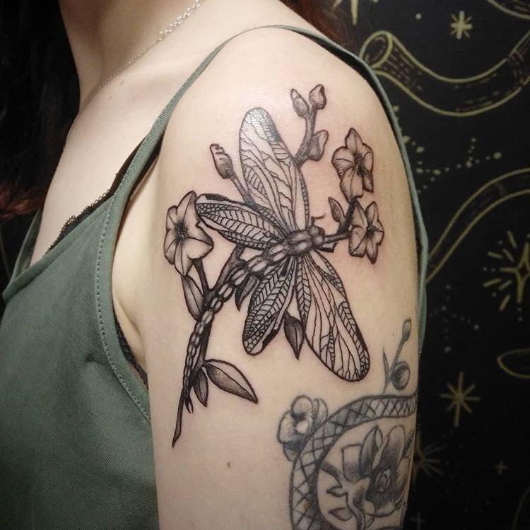 A selection of tattoos on the theme: Dragonfly. Shoulder